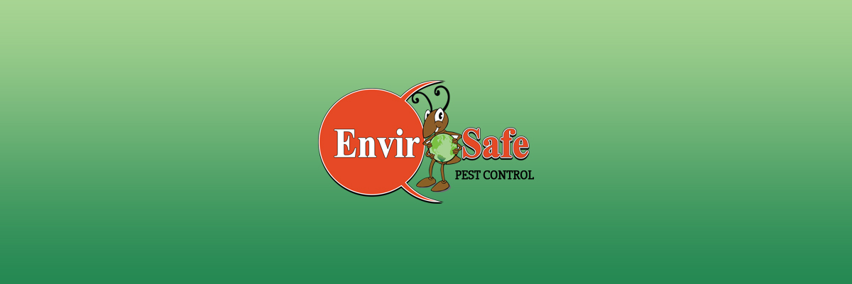 Green Termite Baits - Green Pest Control