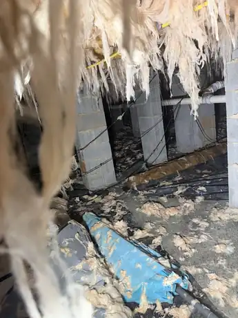 Insulation piled in the dirt of a Lowell NC crawl space