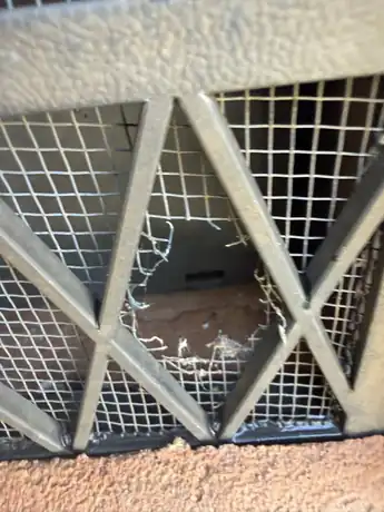 Foundation vent screen chewed open on a Lowell NC house